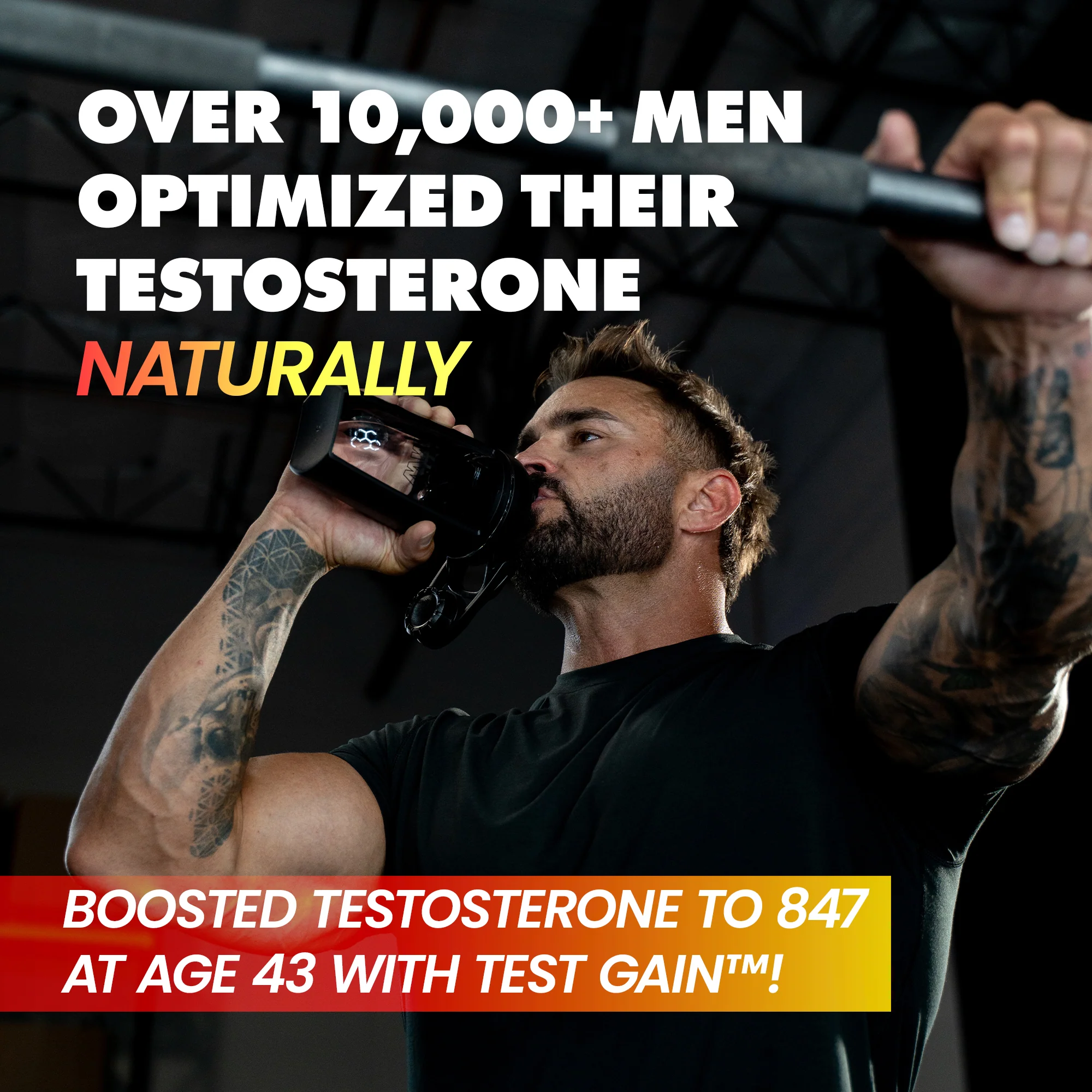 Test Gain - Image 3