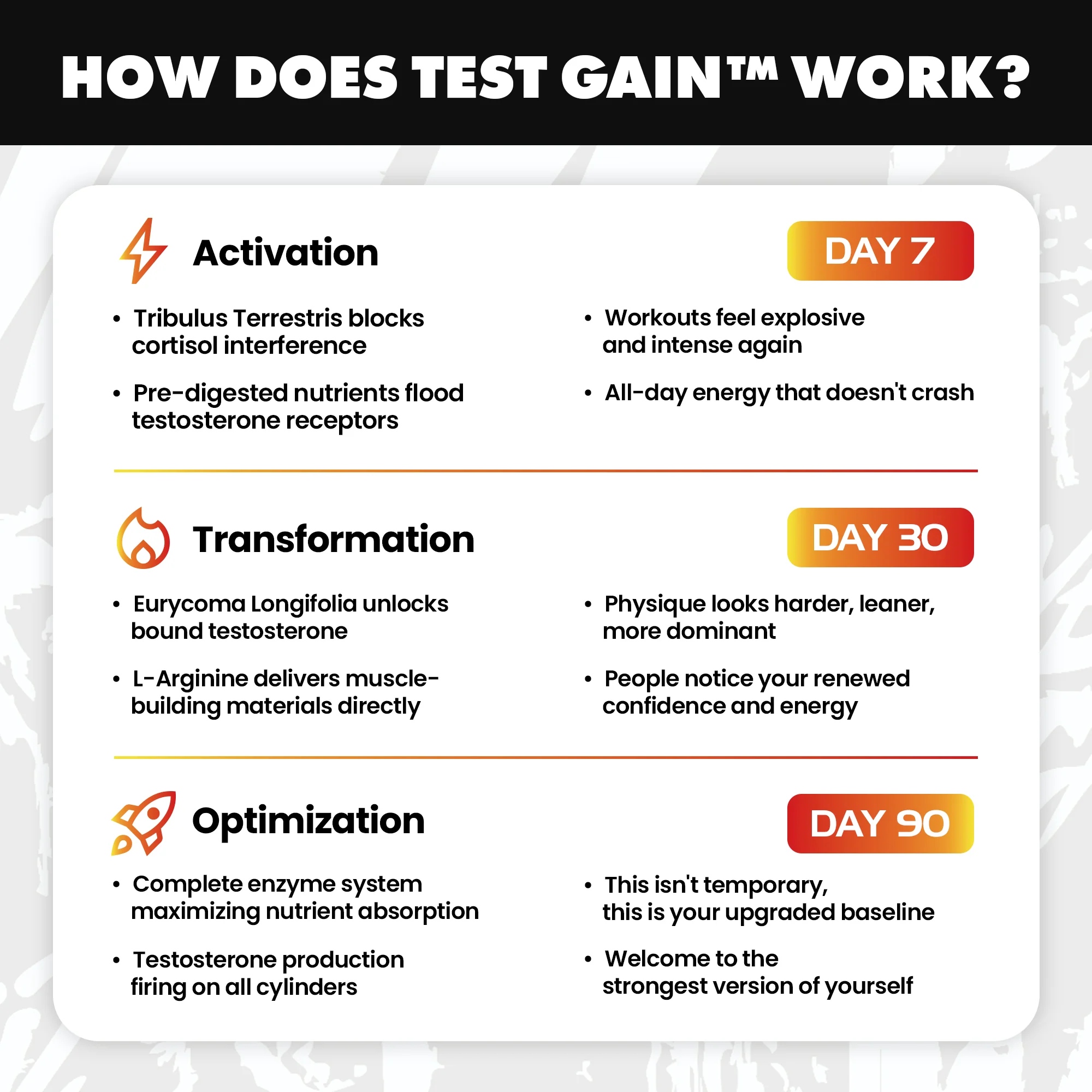 Test Gain - Image 7